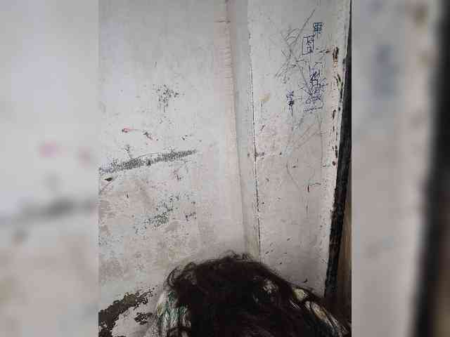 Mascotuni webcam