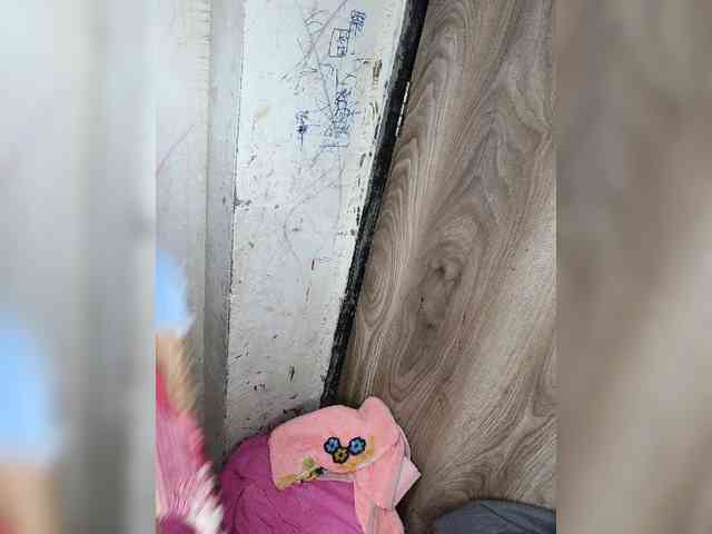 Mascotuni