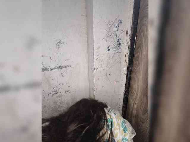 Mascotuni webcam