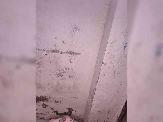 Mascotuni webcam