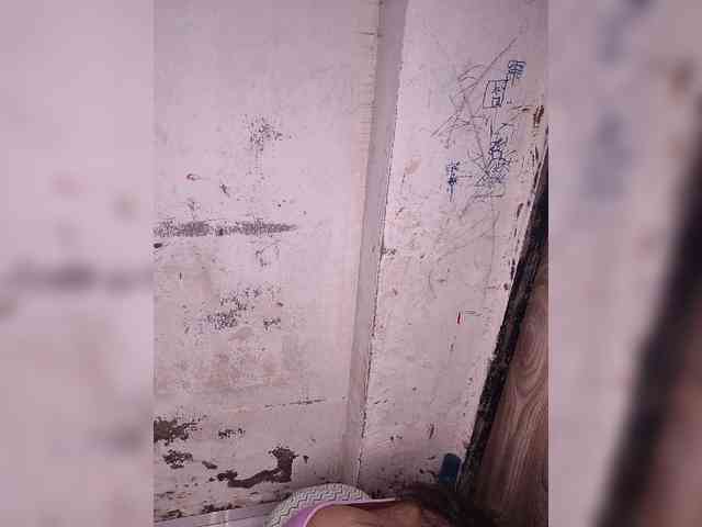 Mascotuni webcam