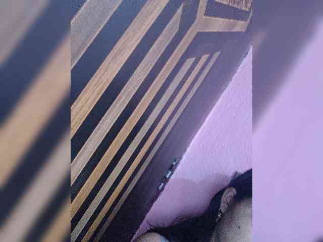 Mascotuni