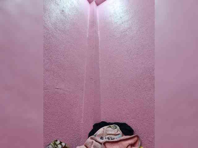 Mascotuni webcam