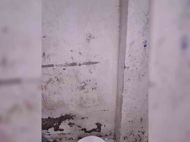 Mascotuni webcam