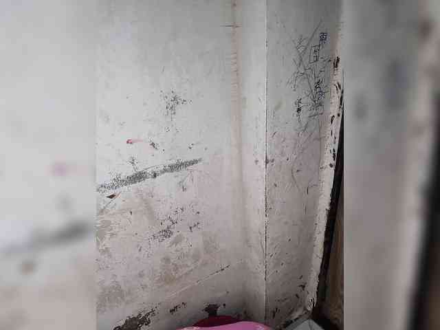 Mascotuni webcam