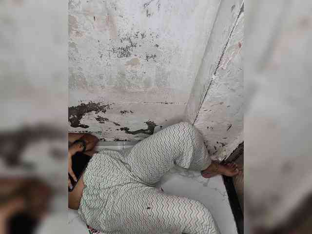 Mascotuni webcam