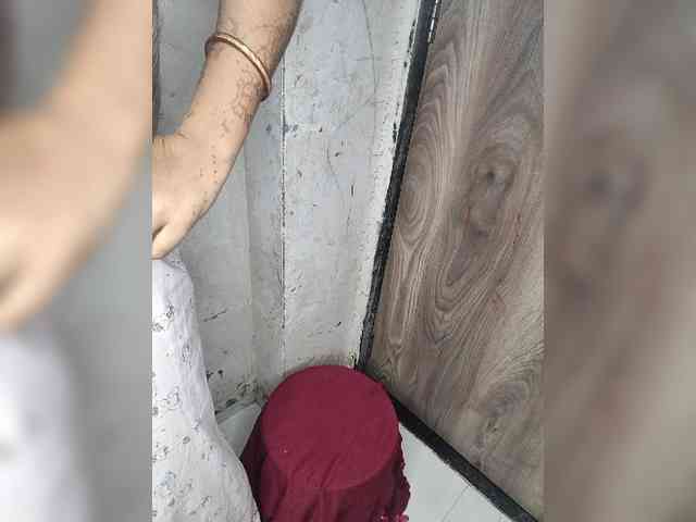 Model: Mascotuni