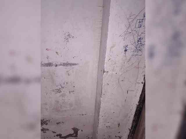 Mascotuni