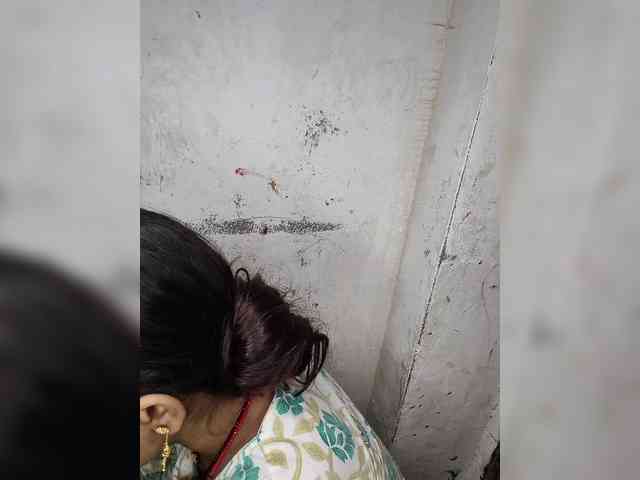 Mascotuni webcam
