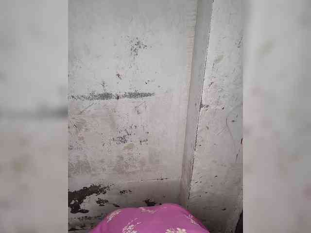Mascotuni webcam