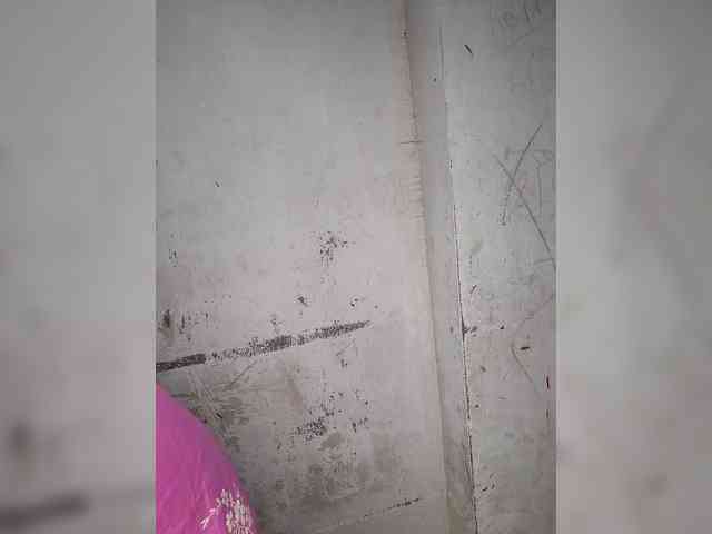 Mascotuni webcam