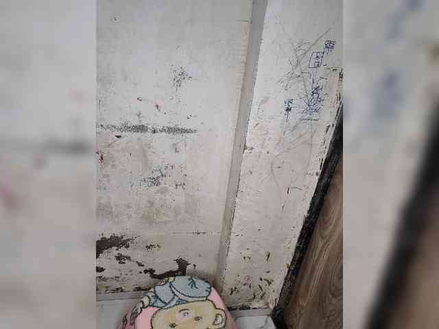 Mascotuni webcam