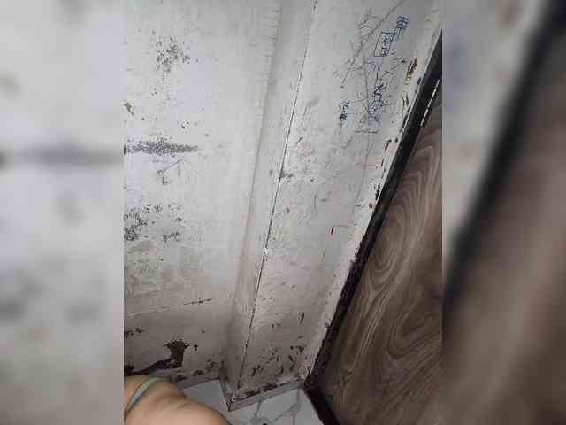 Mascotuni webcam