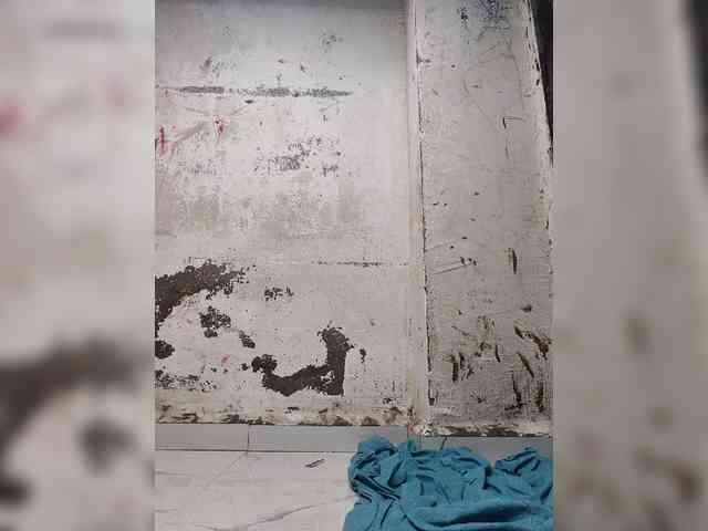 Mascotuni webcam