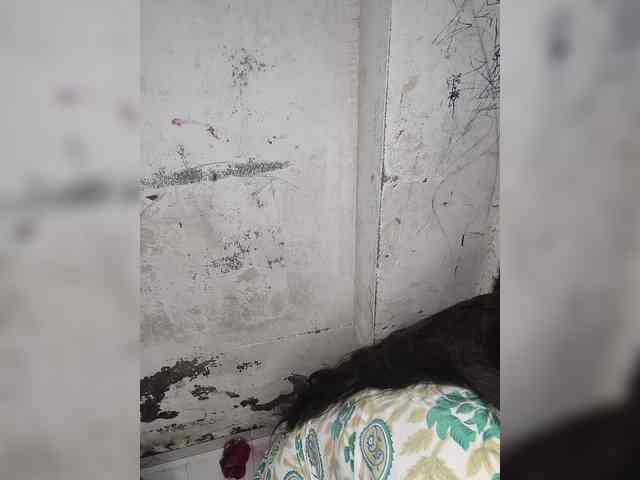 Mascotuni webcam