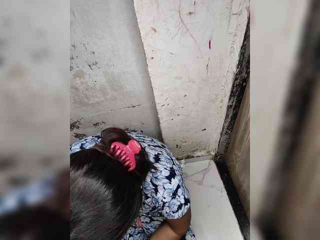 Mascotuni webcam