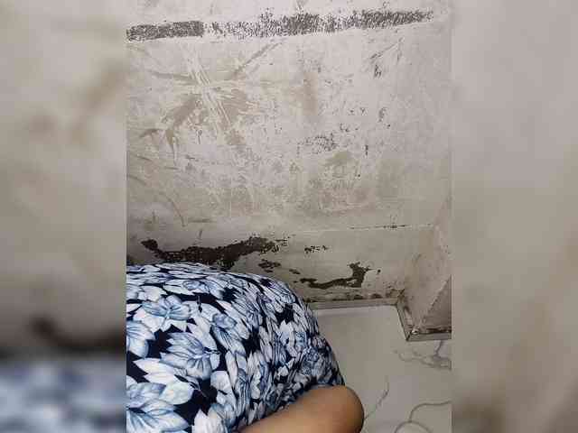 Mascotuni webcam