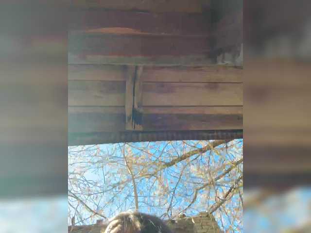 Tr1xie's BongaCams profile