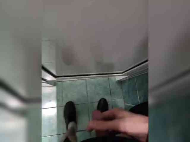 Hysta1