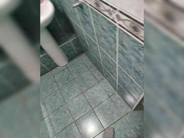 Hysta1