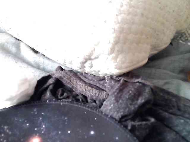 Mavkas2025 webcam