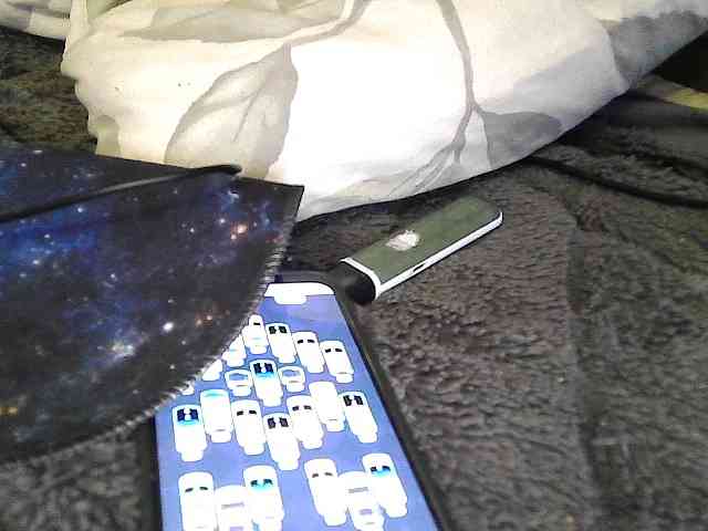 Mavkas2025 webcam