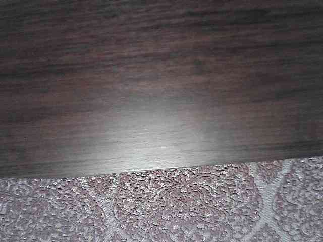 Mavkas2025 webcam