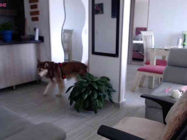 Mara- webcam