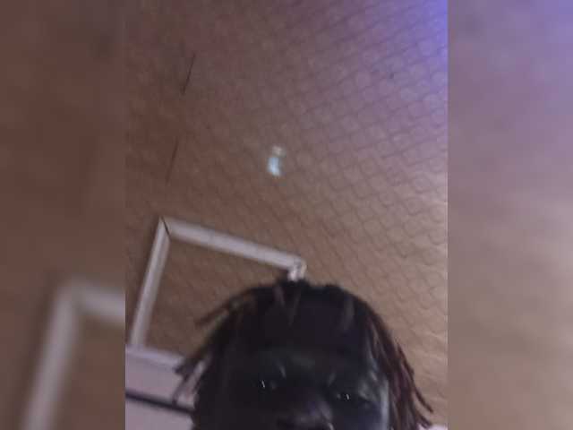 Kartel333