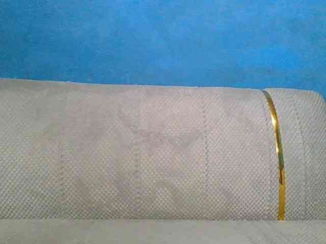 RANNY webcam