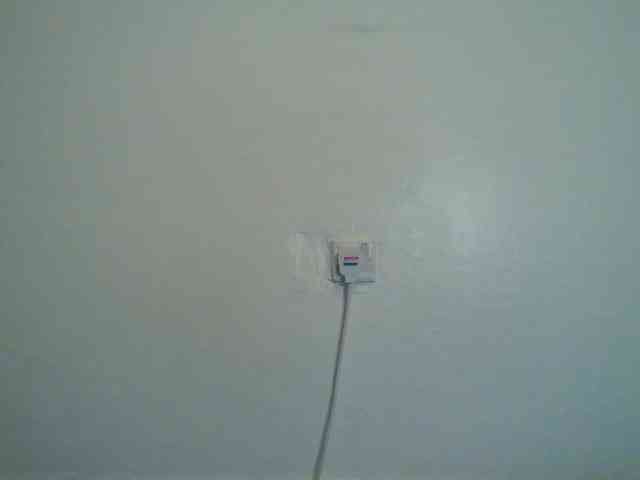 Queen-venny webcam