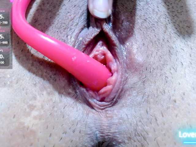 carolinasquirt18