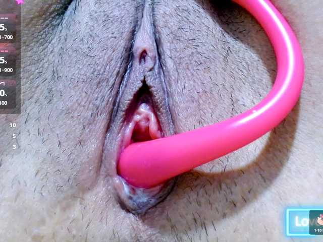 carolinasquirt18