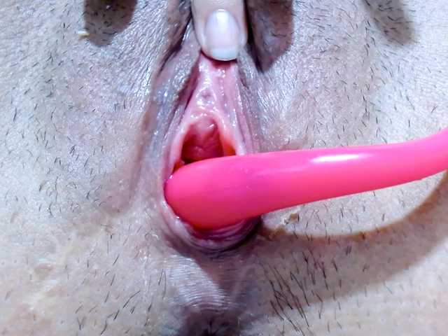 carolinasquirt18