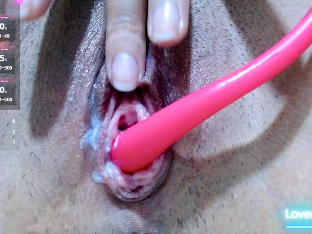 carolinasquirt18