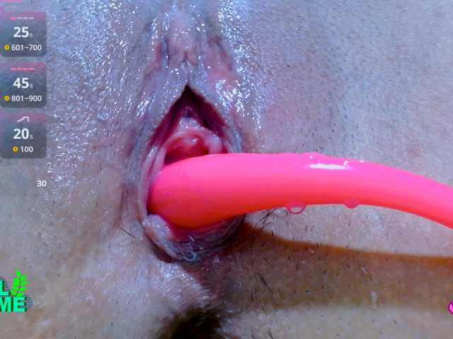 carolinasquirt18