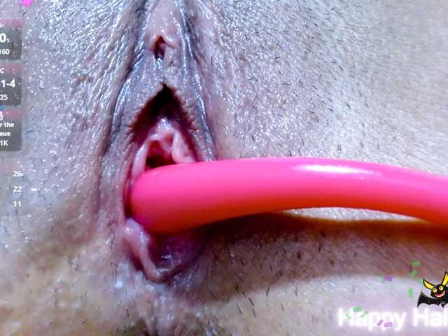 carolinasquirt18, live now on BongaCams