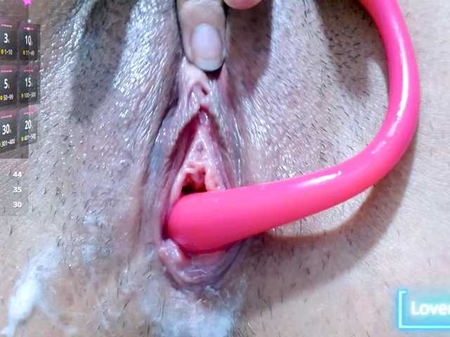 carolinasquirt18