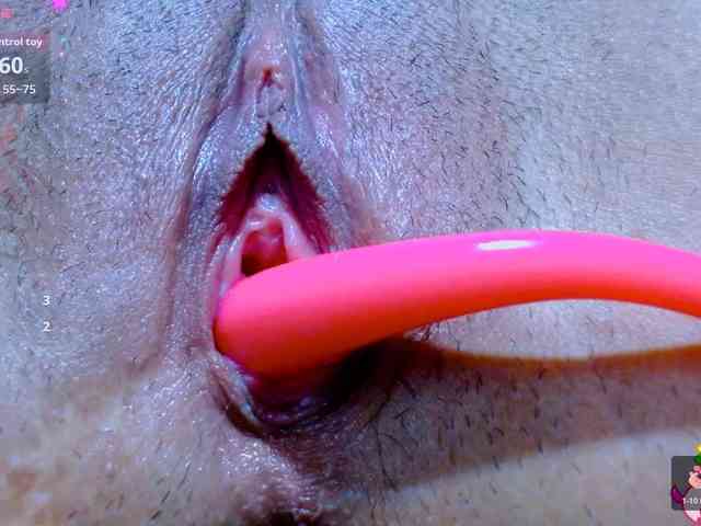 carolinasquirt18 webcam