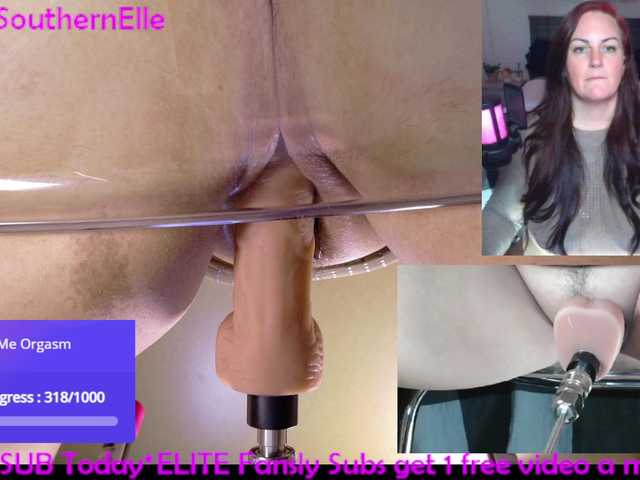 southernelle belle show