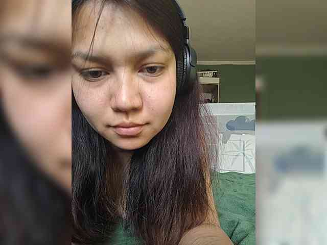 Geritsme webcam
