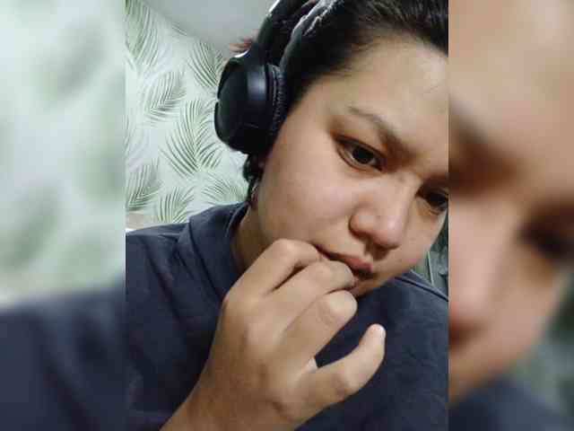 Geritsme webcam