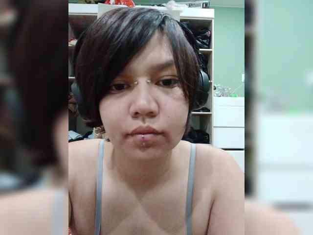 Geritsme webcam