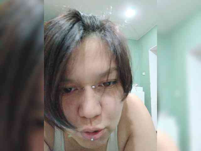 Geritsme webcam