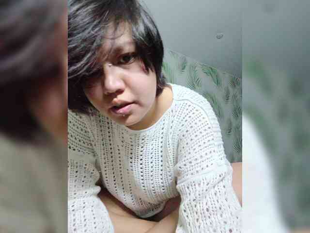 Geritsme webcam