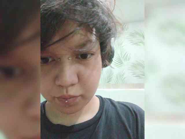 Geritsme webcam