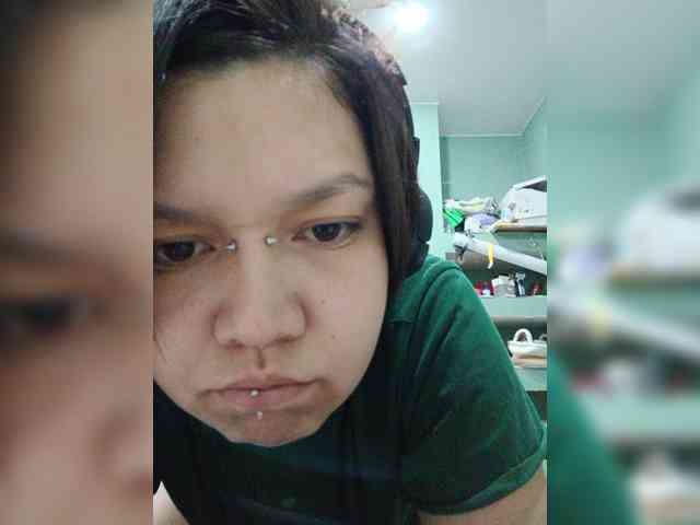 Geritsme webcam