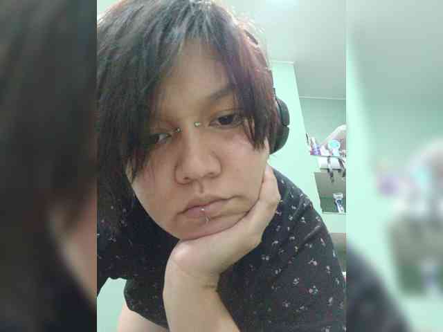 Geritsme webcam