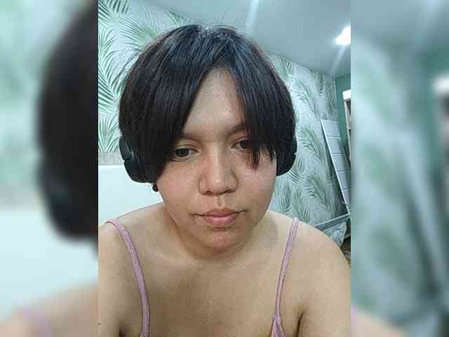 Geritsme webcam