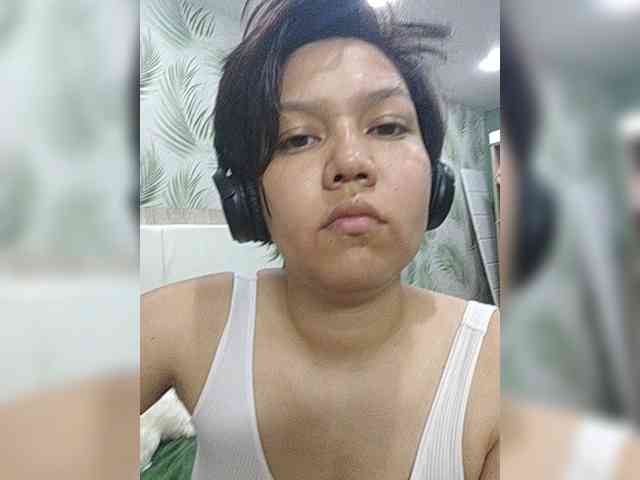 Geritsme webcam